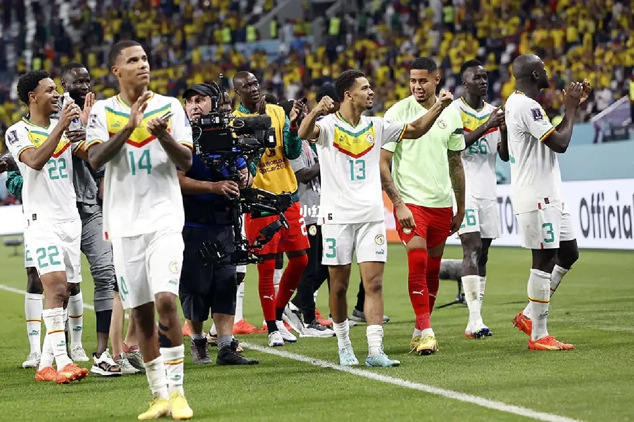 Leyu-布莱顿与热刺孙兴敏没上场